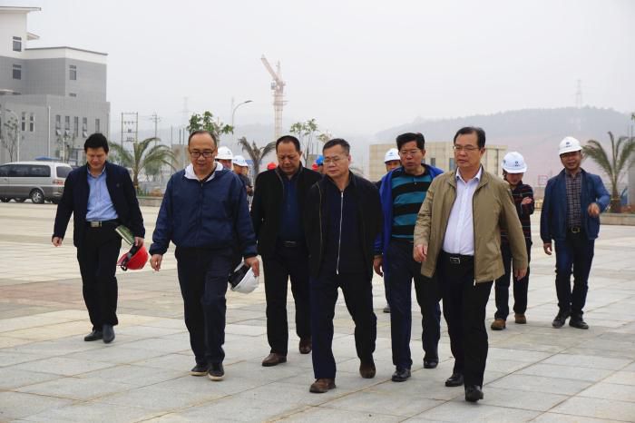 5.吴锡熹一行在项目落成区进行实地观察。谢微旋 摄700.jpg