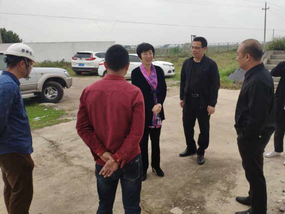 11辛红梅视察项目。梁荣程 摄700.png