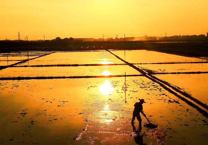 5摄影文章《耕作》获三等奖。韦荣伟 摄-13768307144700.jpg