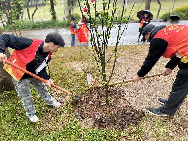 为树苗松土固基。周煜川 摄（建图）.jpg